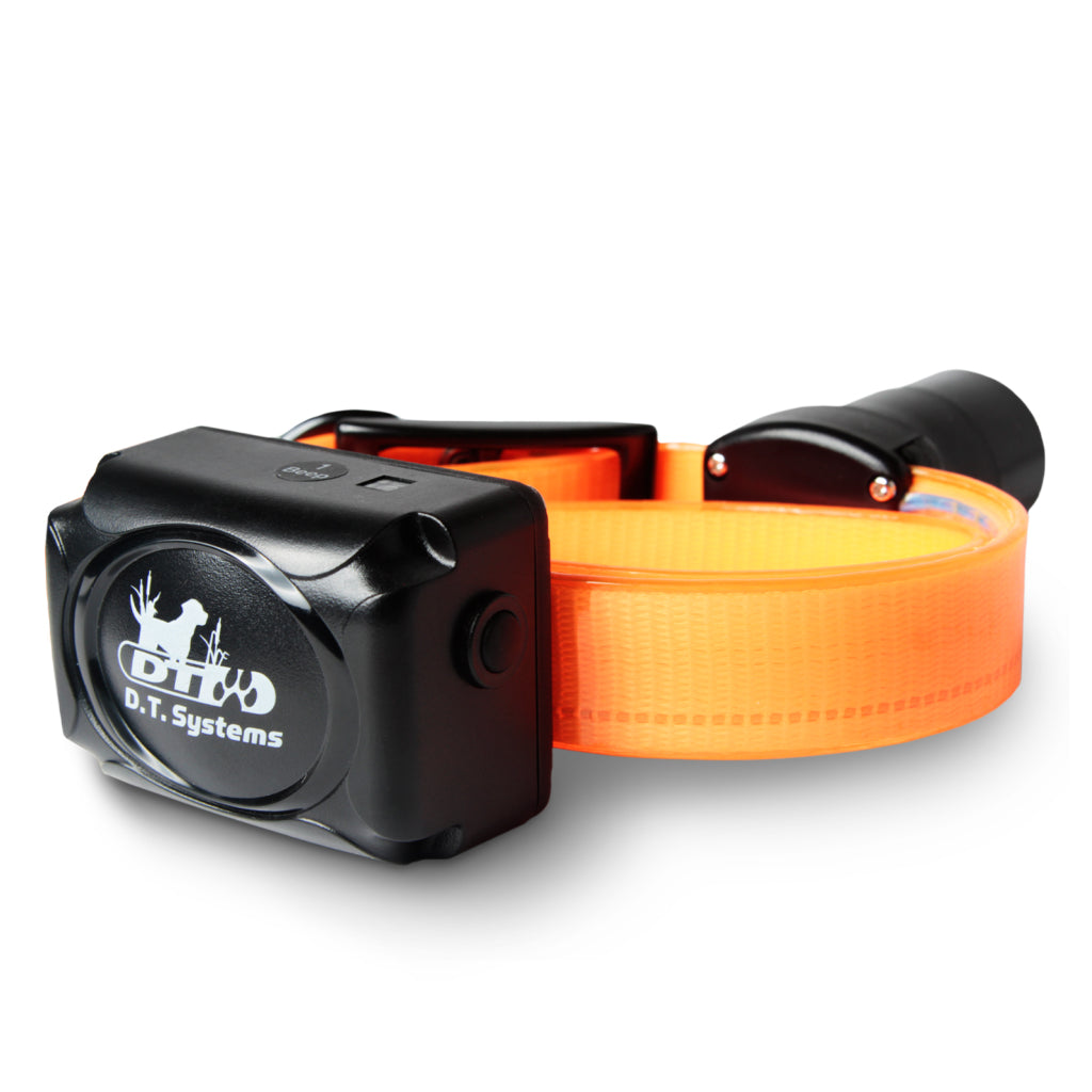 Upland 2025 beeper collar