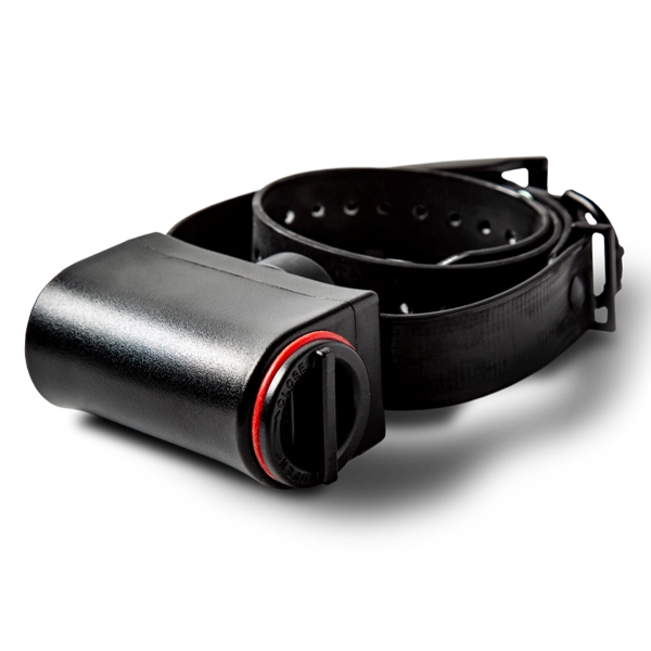 Pomeranian sales bark collar