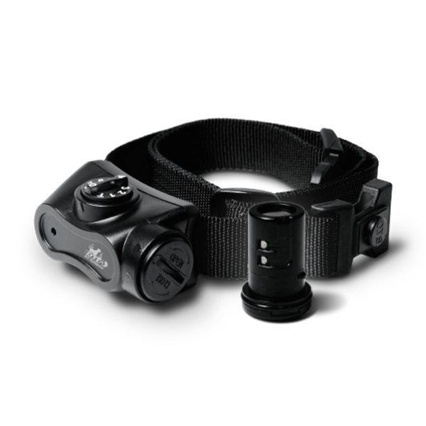 Oternal no bark collar online