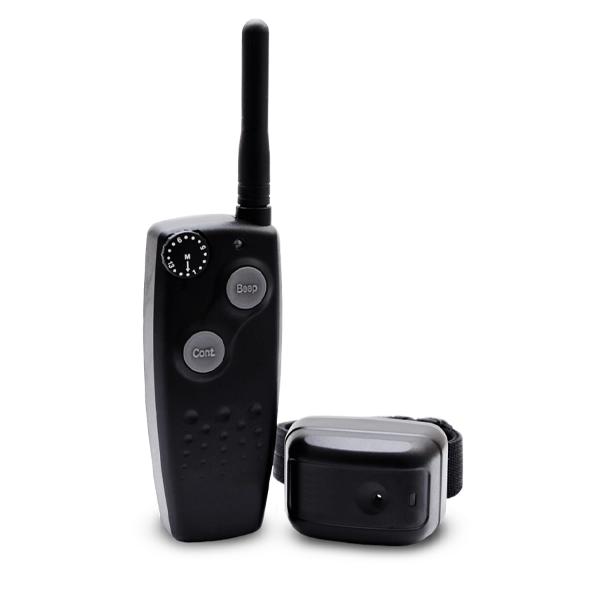 Dt sales training collars