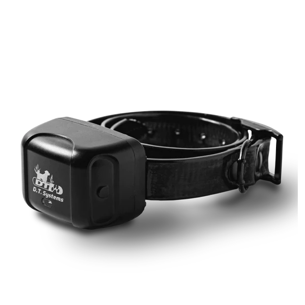 Dt collars outlet