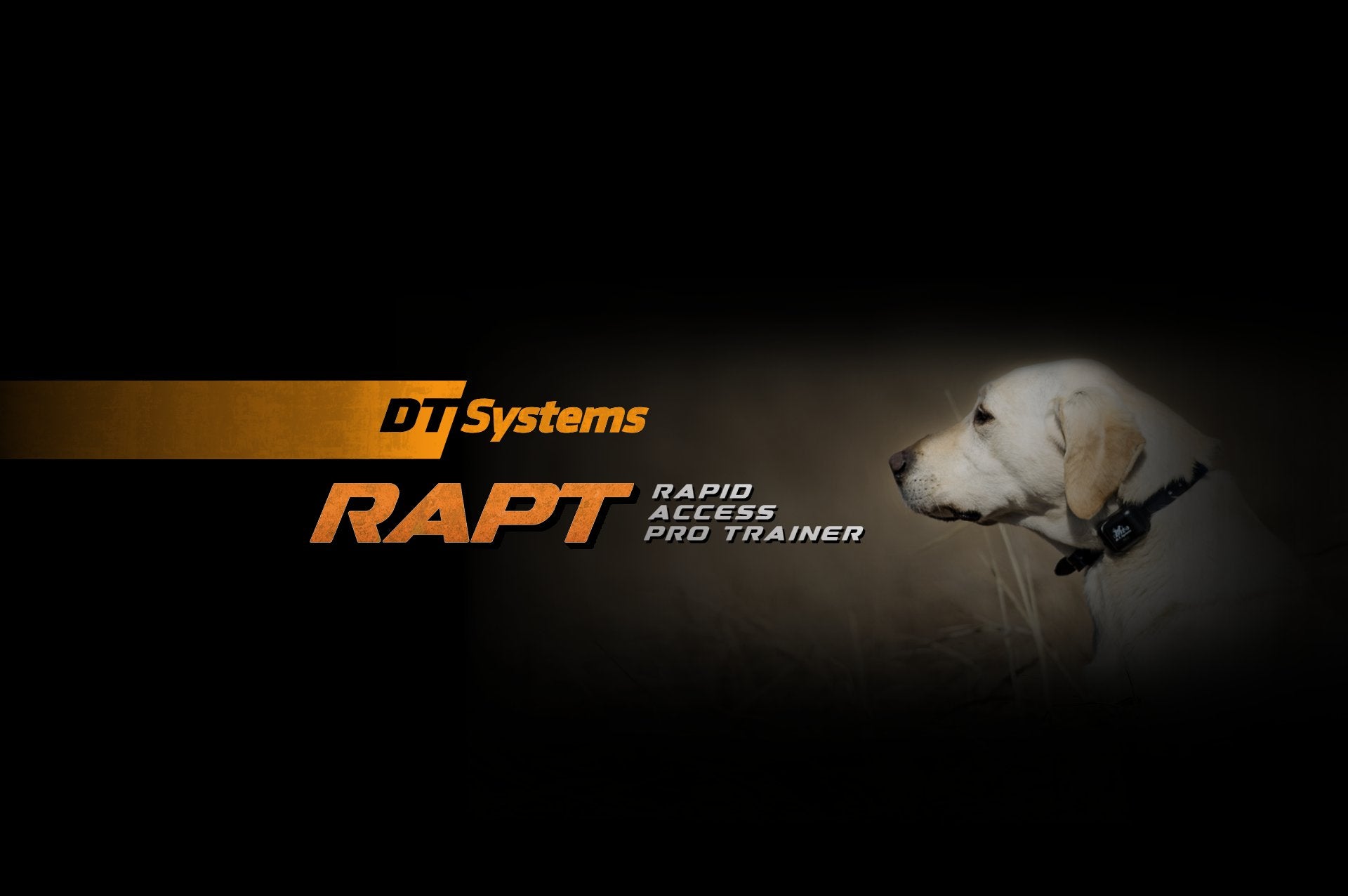 RAPT (Rapid Access Pro Trainer) Series – DT Systems