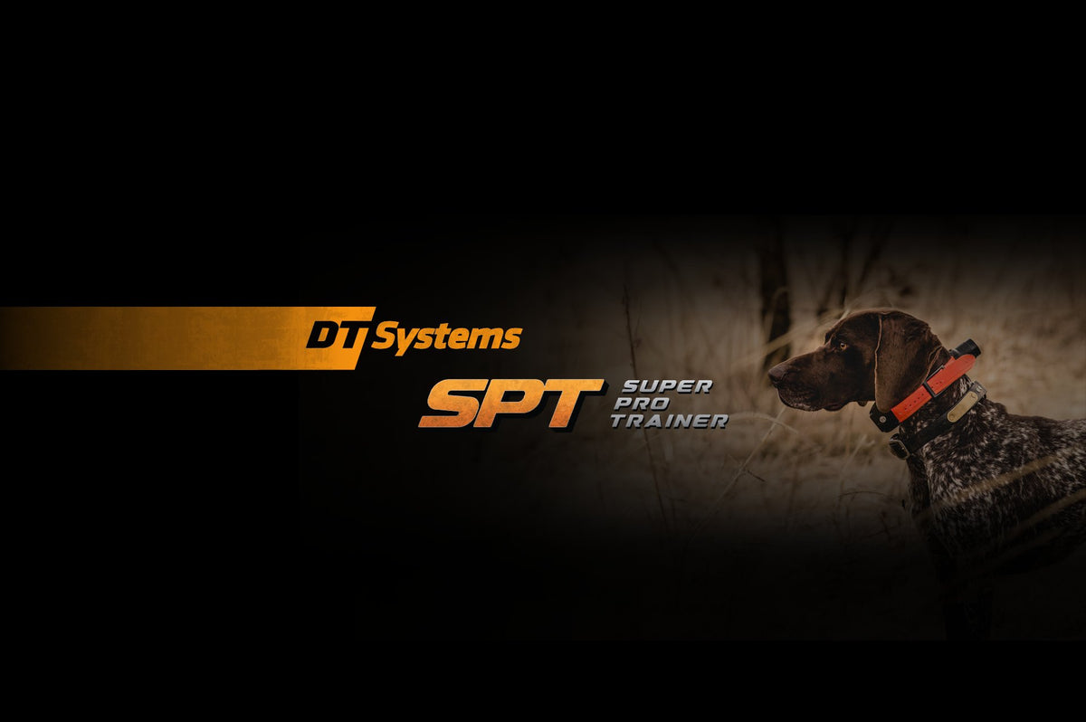 SPT2400 Series – DT Systems
