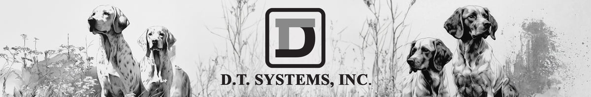 DT History – DT Systems