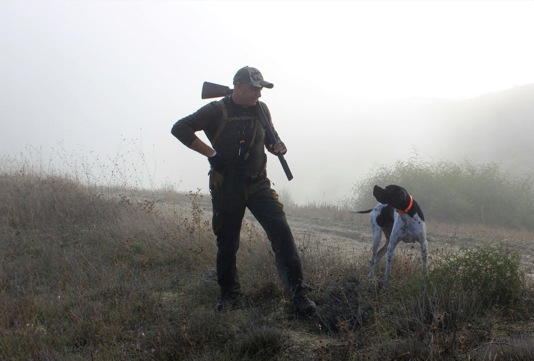 How to Introduce and Condition Your Dog to Gunfire DT Systems