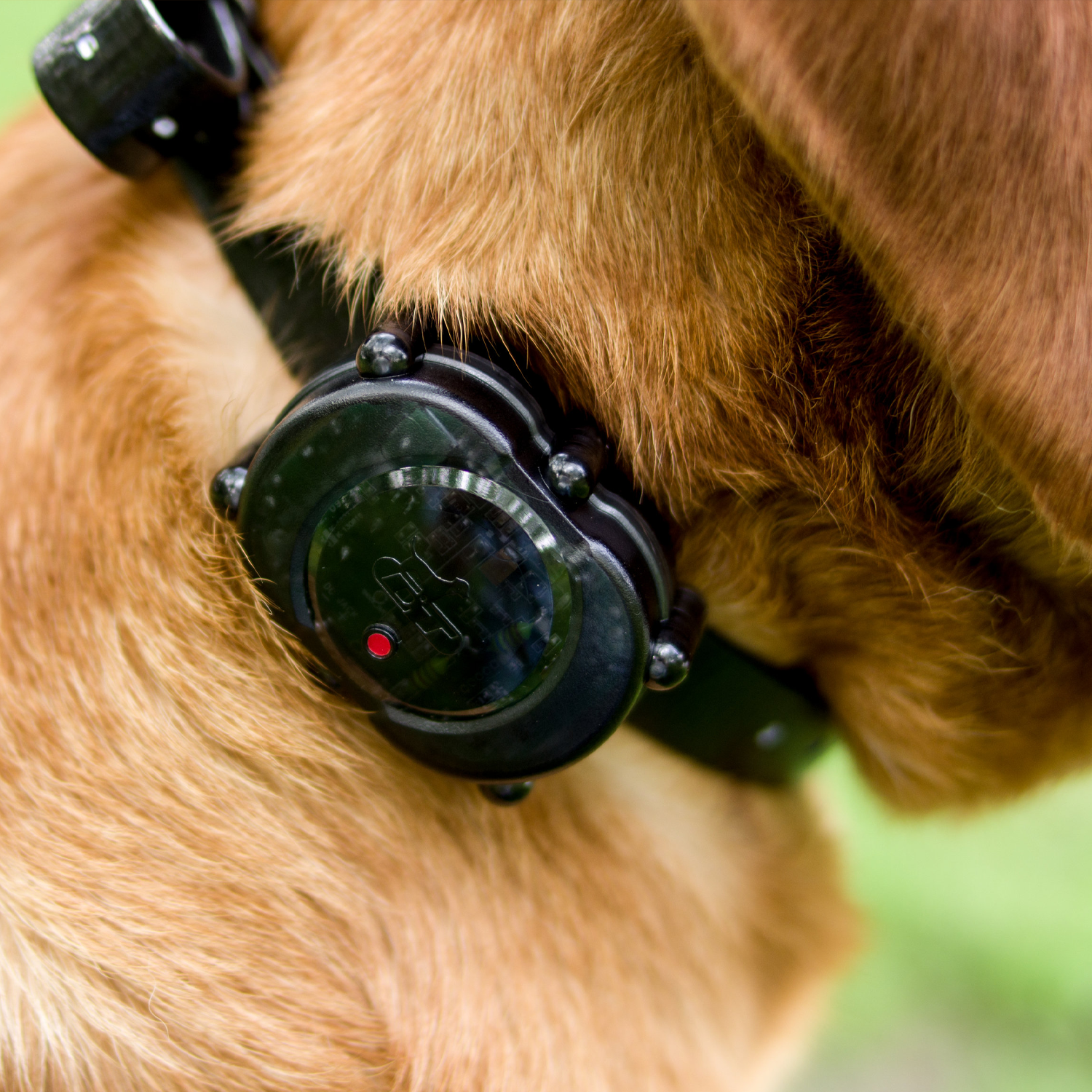 DT Systems MICRO iDT Compact e collar (IDT PLUS) DT Systems MICRO iDT Compact e collar (IDT PLUS)