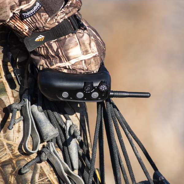 Dt best sale rapt 1400